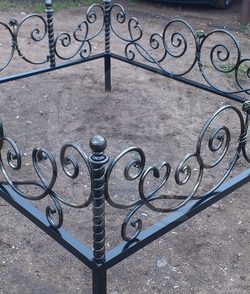 Роза